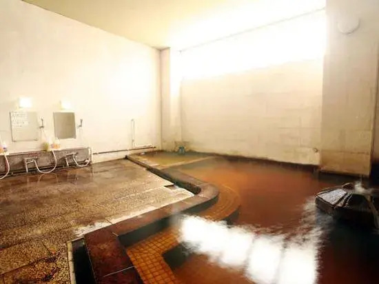 Kofu Syouwa Onsen Business Hotel