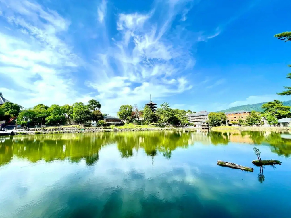 THE KAKU Exclusive suite & Residence