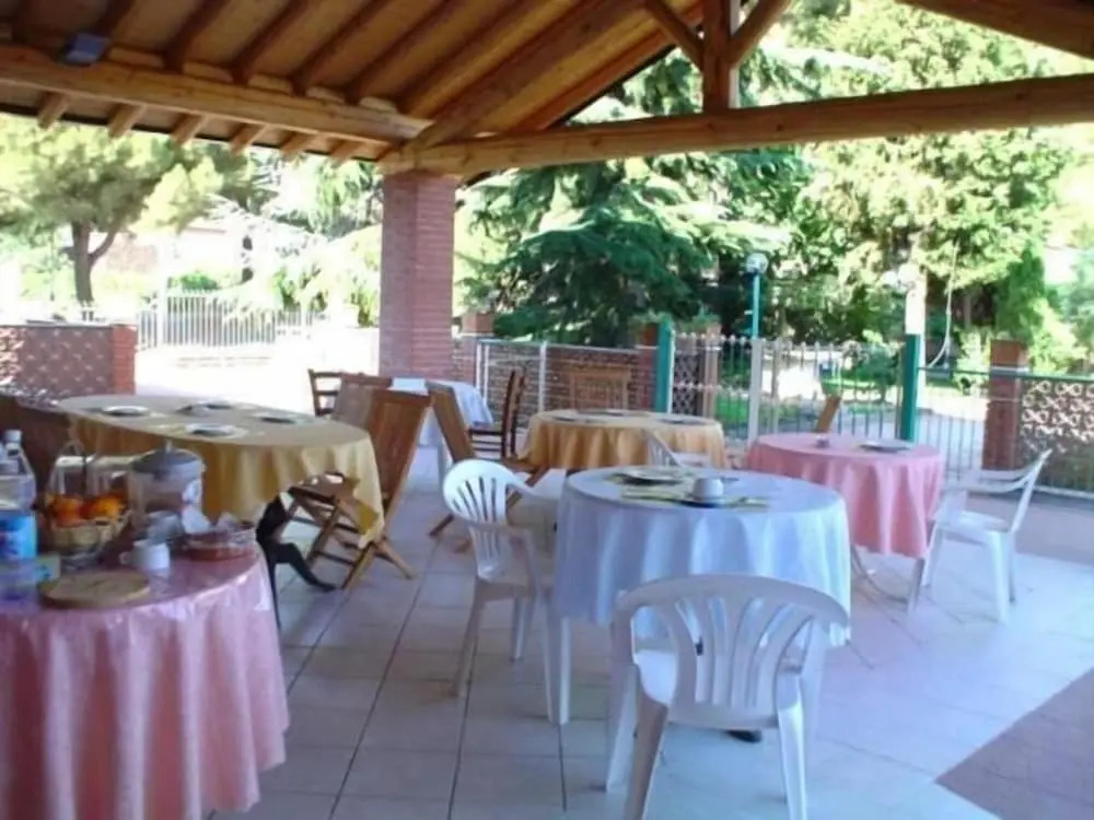 Il Vigneto