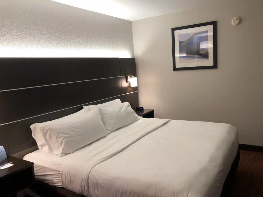 Holiday Inn Express Metropolis by IHG