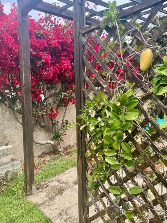 Villa Valeria B&B