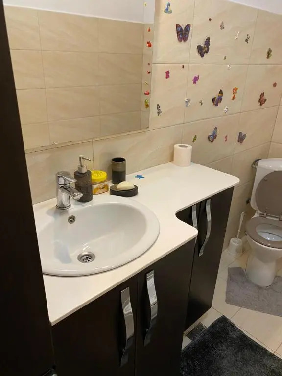 Cosmin Apartament Sondelor 4