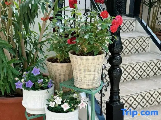 Yining Nalely Garden homestay  (Liuxing Street Scenic Area)