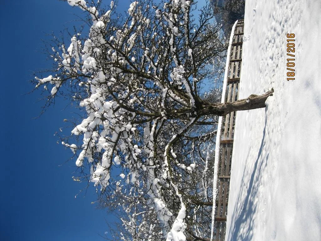Bio-Bauernhof Einberghof