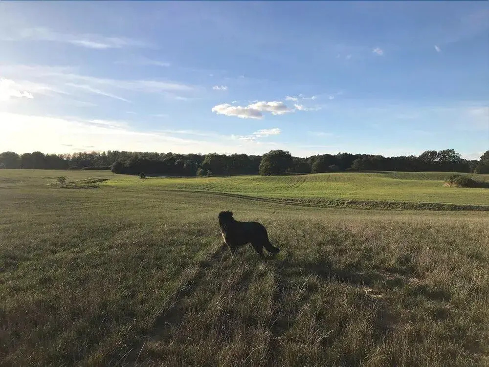 Beaumont Farm