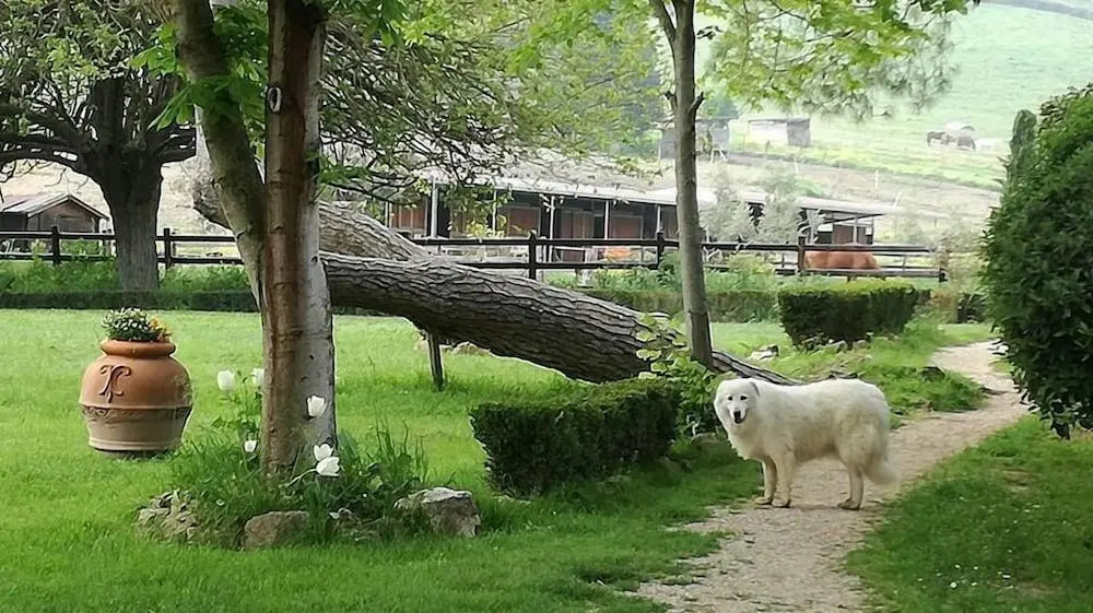Tenuta Agricola Fonte Di Papa