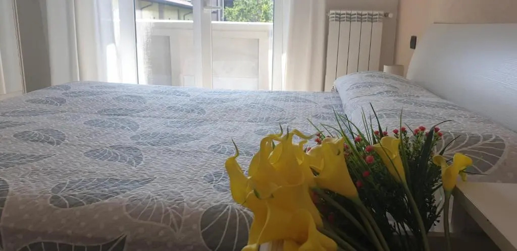 Karina House-check in H 24