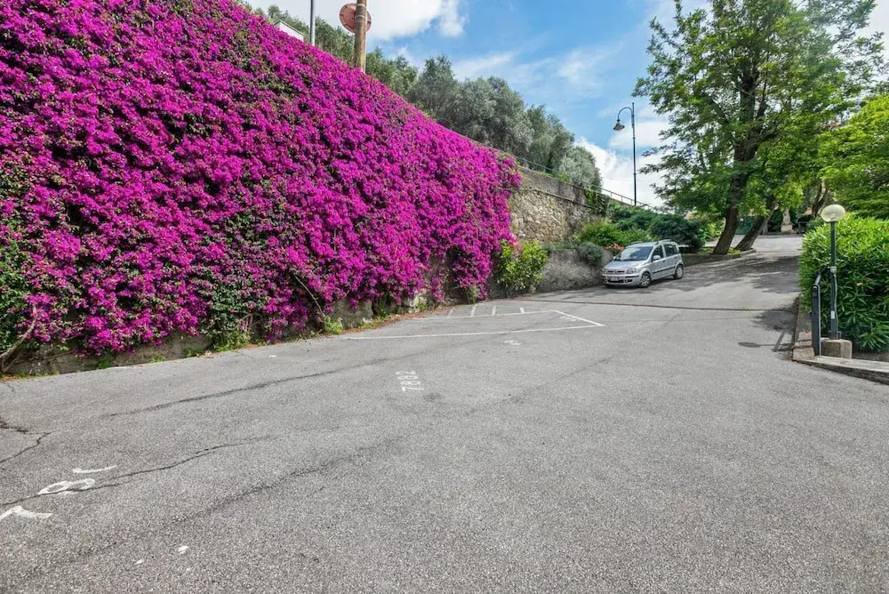 Camogli Bright Apartment with Parking