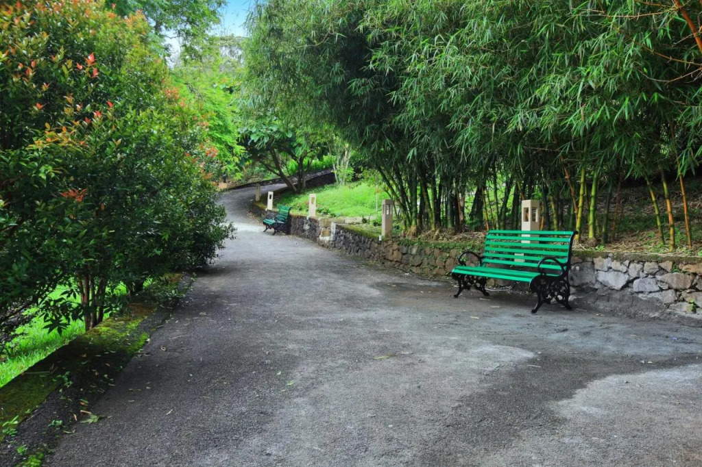 Tea Terrain Resorts & Spa