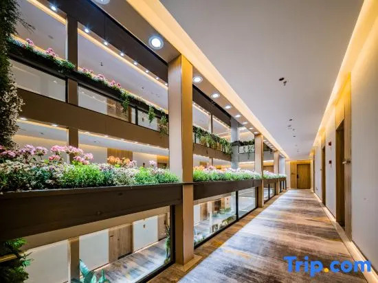 Tianruihua Garden Hotel (Xianghe Commercial Plaza in the Old Town of Lijiang)