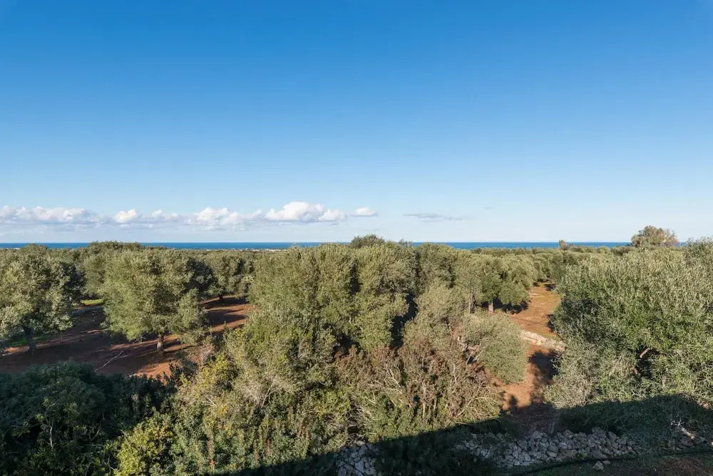 Villa Aura d Olivo con Piscina by Wonderful Italy