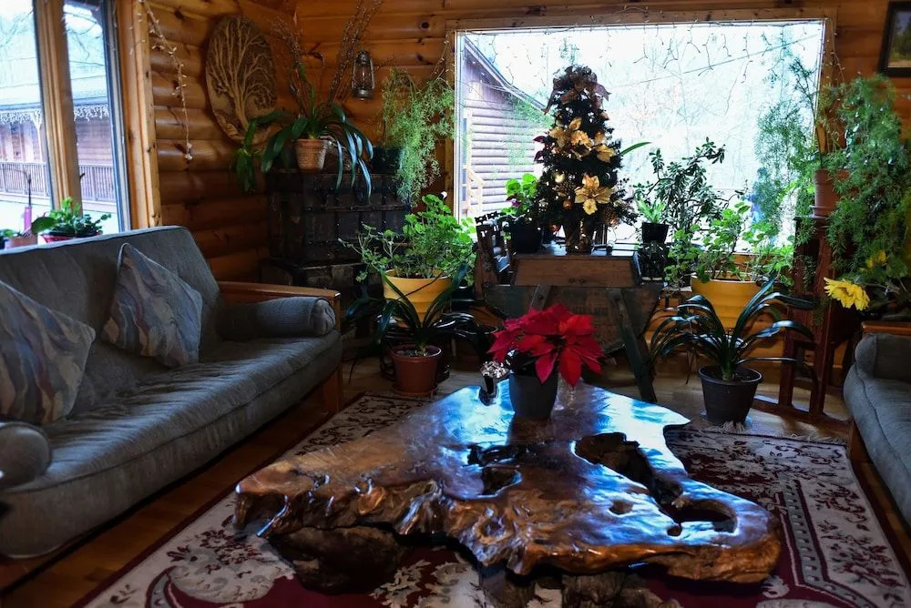 Xenia Lodge