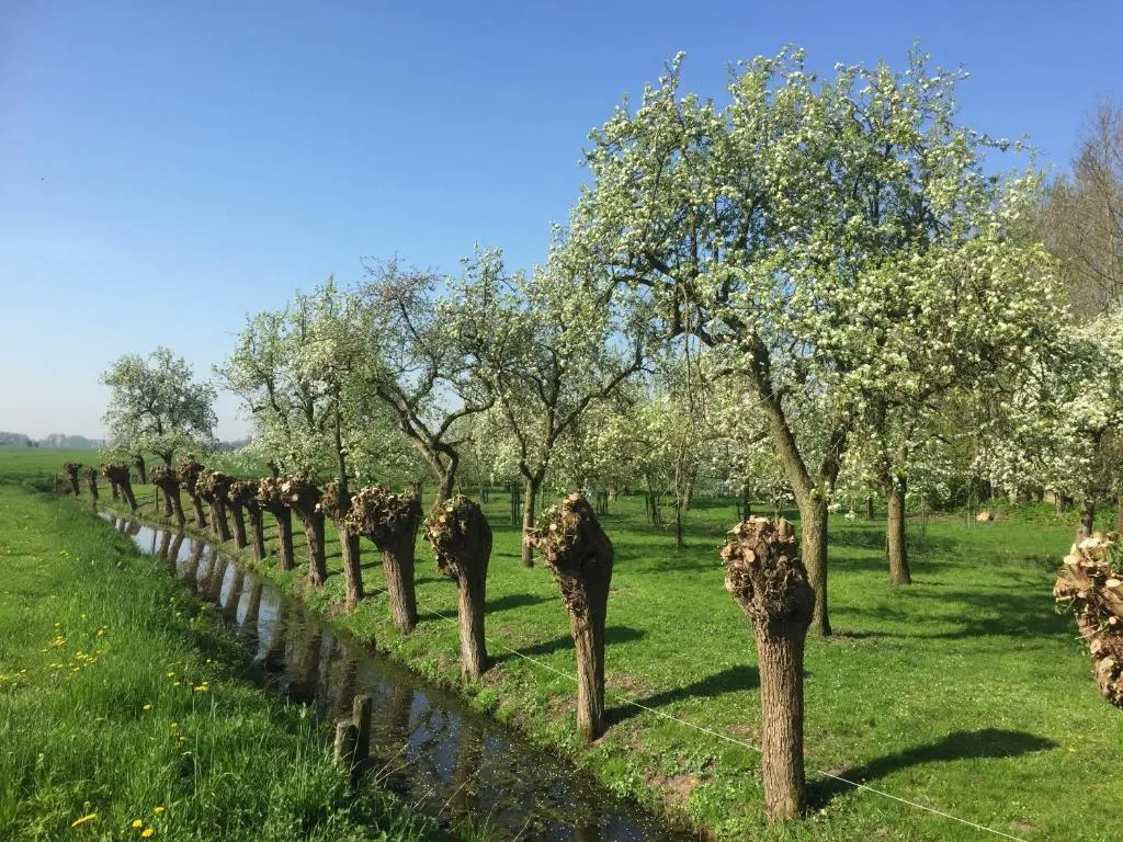 Broeks Bed En Brood
