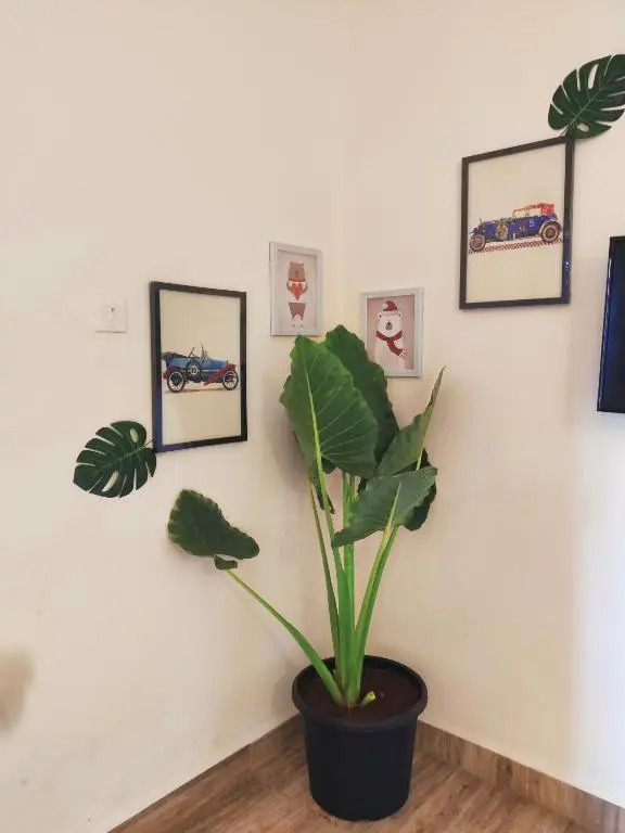 Calangute House - Quirky Stays