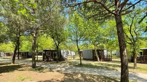 New Campsite in Camping Ca Savio