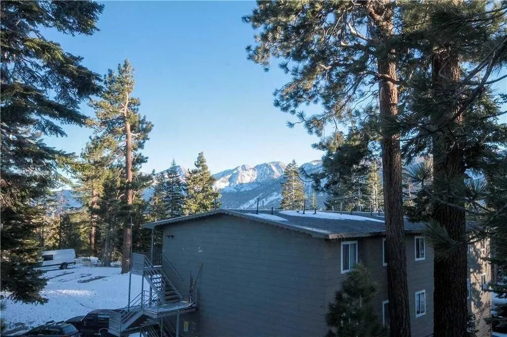 Mountainback 53 Loft