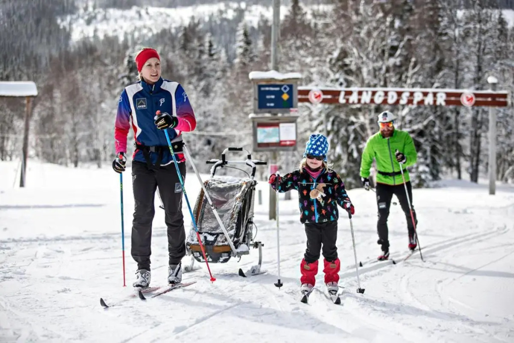Edsåsdalen Fjällstation & Fjällby