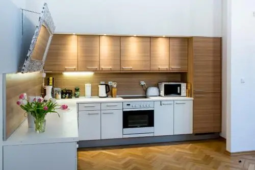 Maiselova House