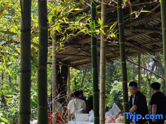 Ju Zhi Yu Homestay
