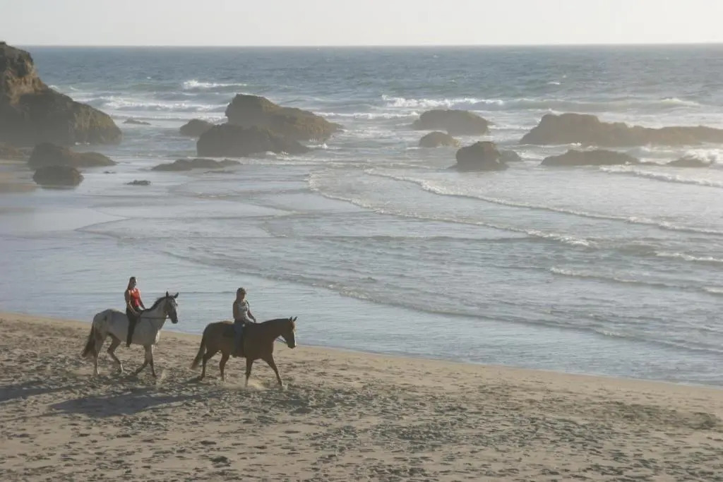 Surf and Sand Lodge