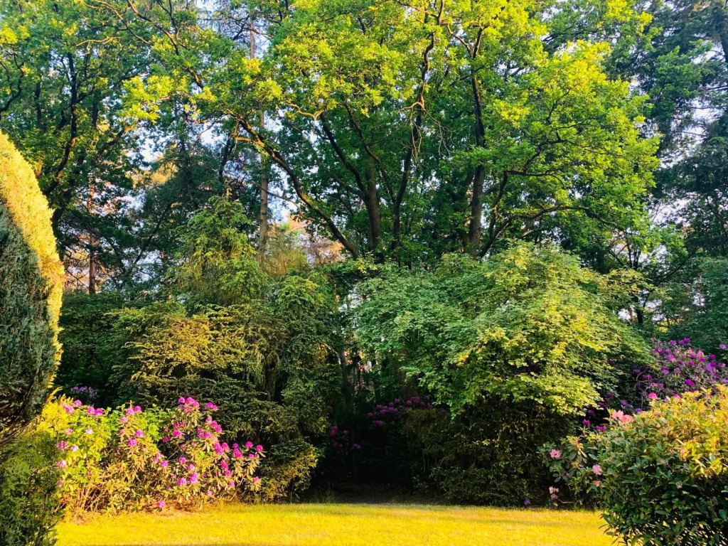 De Wollige Hooglander: in comfort middenin natuur