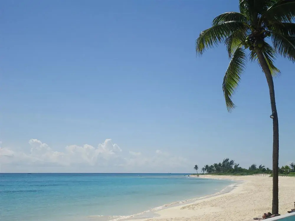 3 Bedroom Vacation Rental