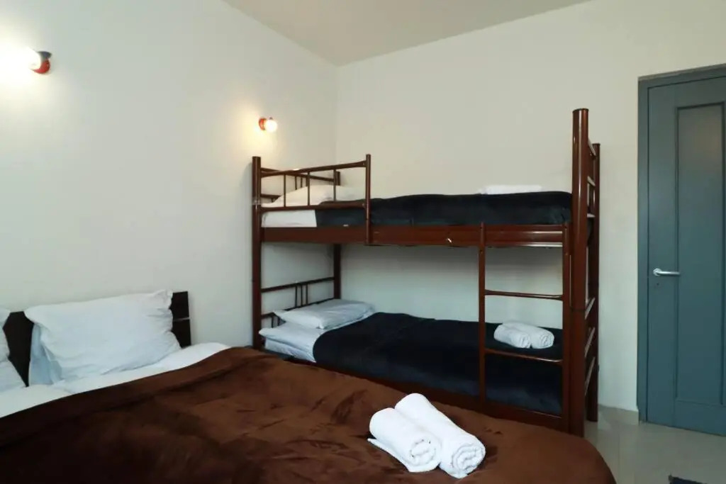 1BR Apartment in Gudauri