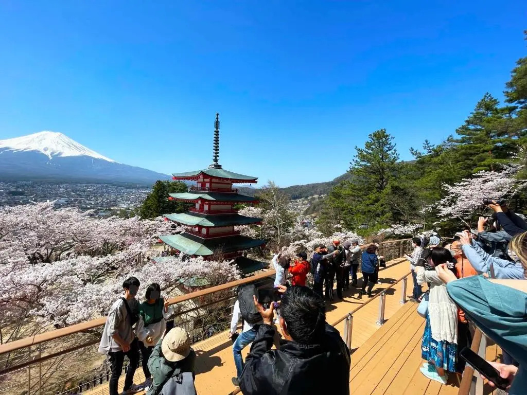 富士山金魚 Fujisan Kingyo