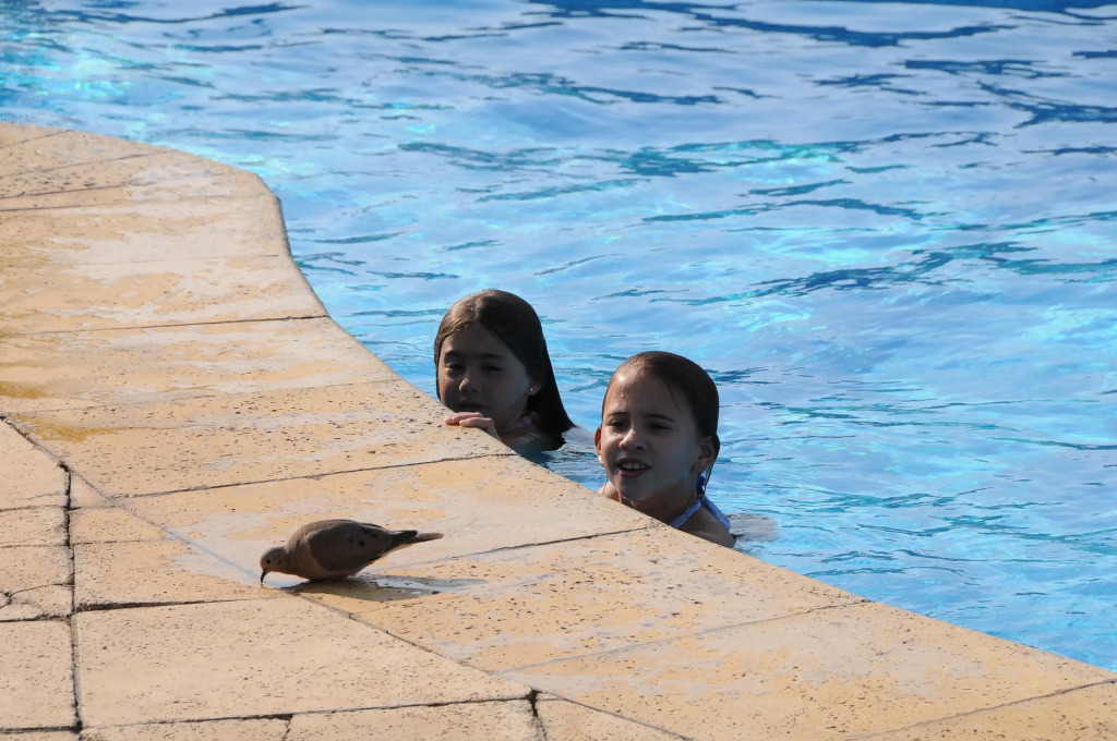 Arapey Oasis Termal Hotel