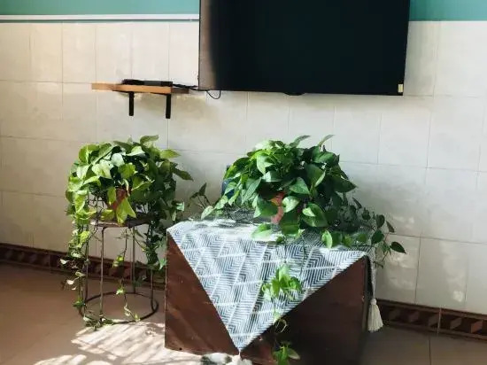 Hechi Qiqi Youth Hostel