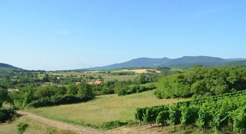 Les Hauts de Rosheim