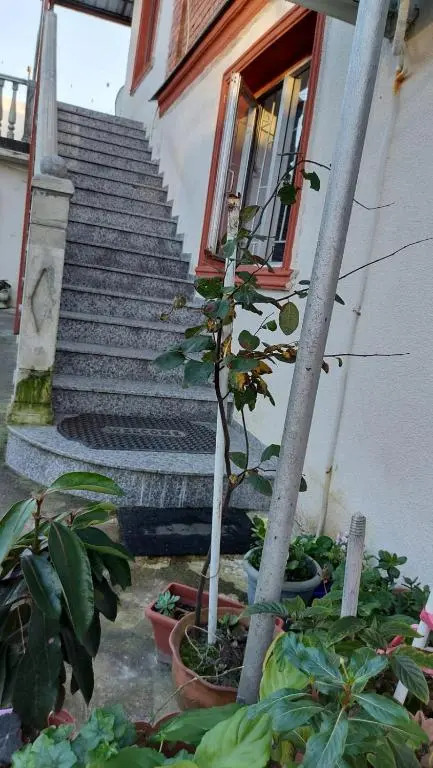 Boutique hotel