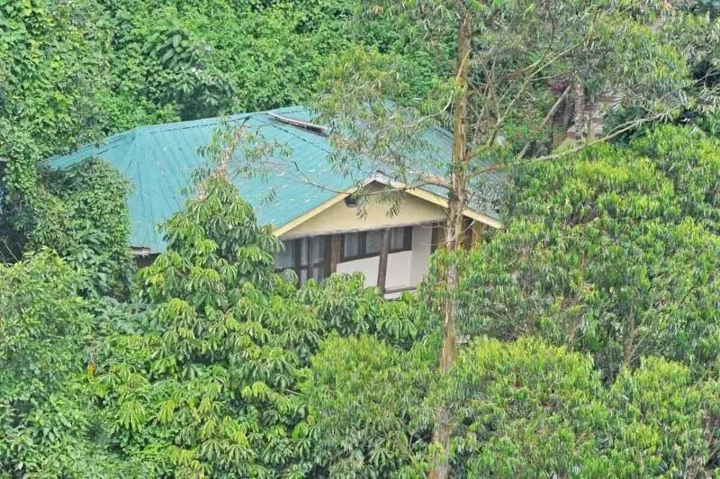 Uganda Lodge