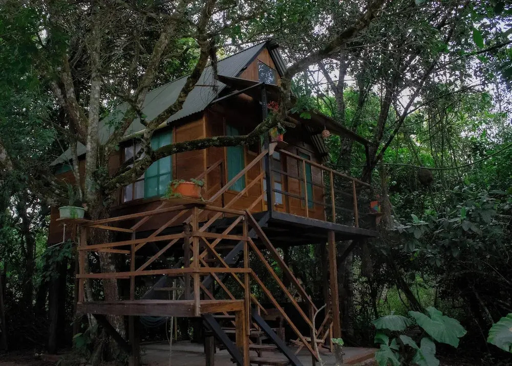 Hostal Caño Nevera