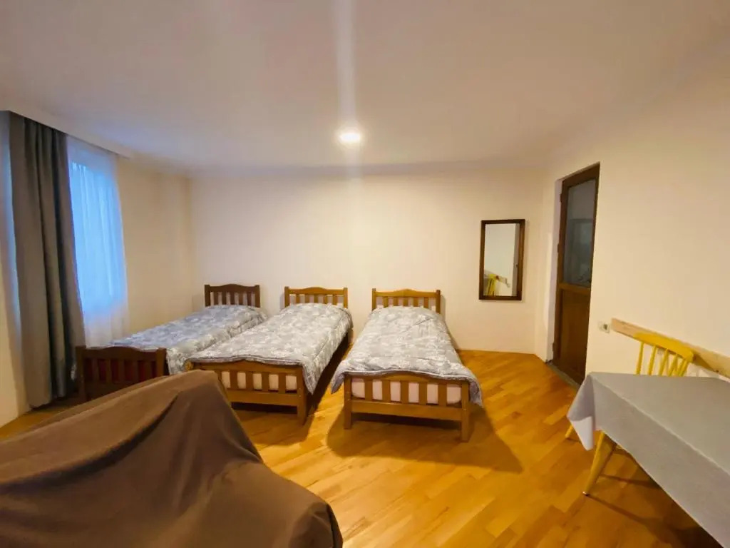 ბორჯომი საოჯახო სასტუმრო "გიომანი" Borjomi Guest House "GioMaNi" დასვენება ბორჯომში "GioMaNi"