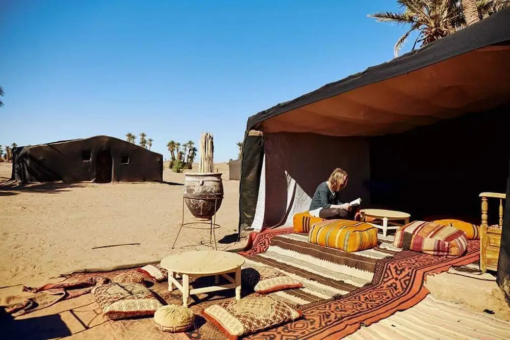 Camp Sahara Nights