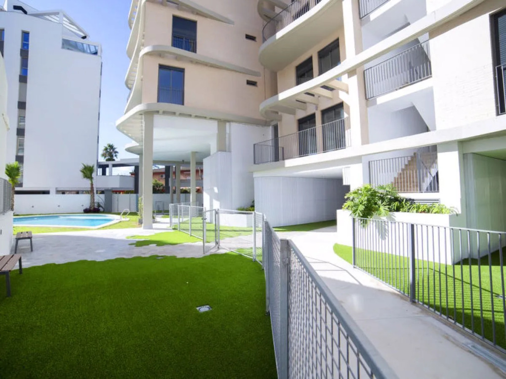 Isea Calpe 26625