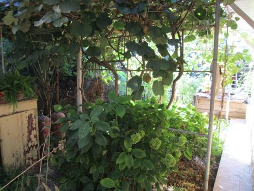 Guest House Veterok