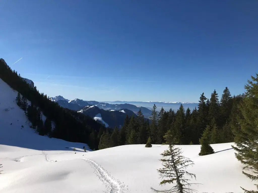 Appartement Studio Fondue chocolat 100m des pistes Wifi