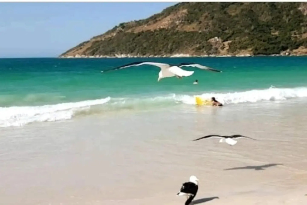 Lindo Apto 2 quartos c/suíte de frente na prainha!