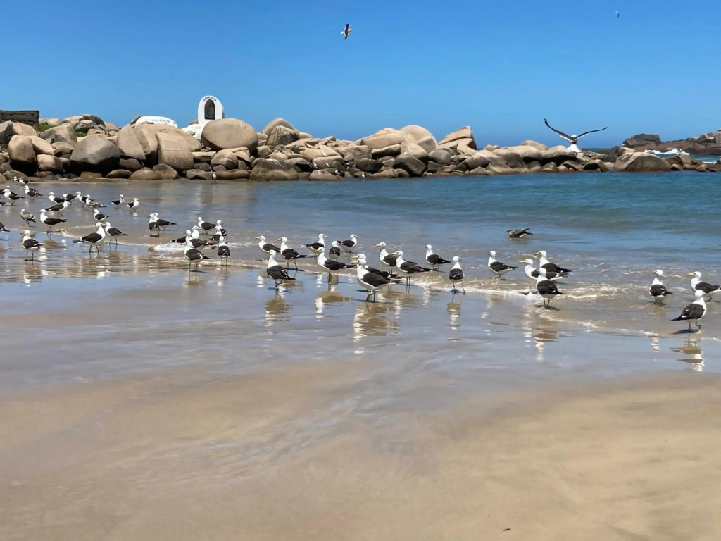 Farol Apart Hotel - Loft 213