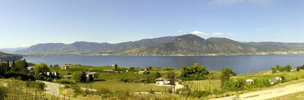 Arta B&B and Vineyard