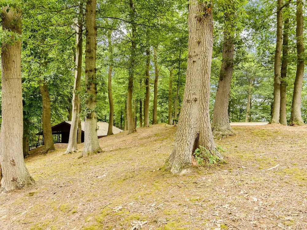 Hollies Lodge