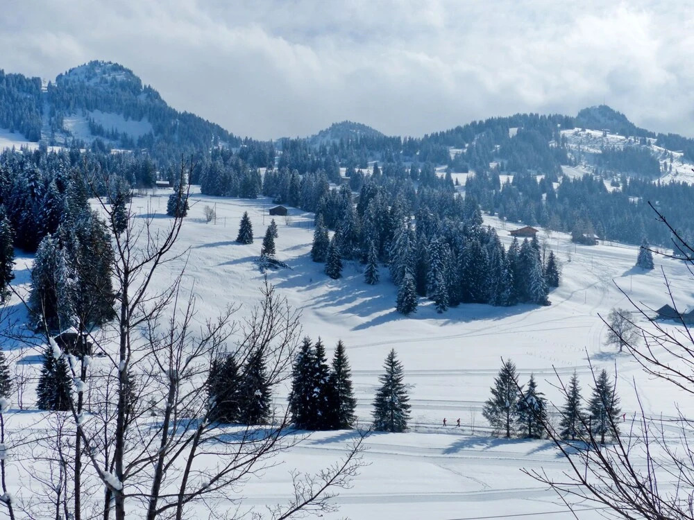Chalet Ahorni Gstaad