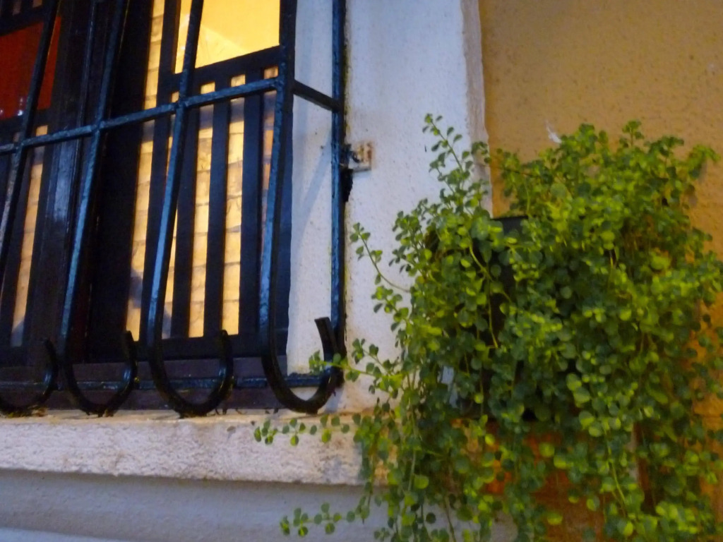 Afonso Guest House - Fontainhas