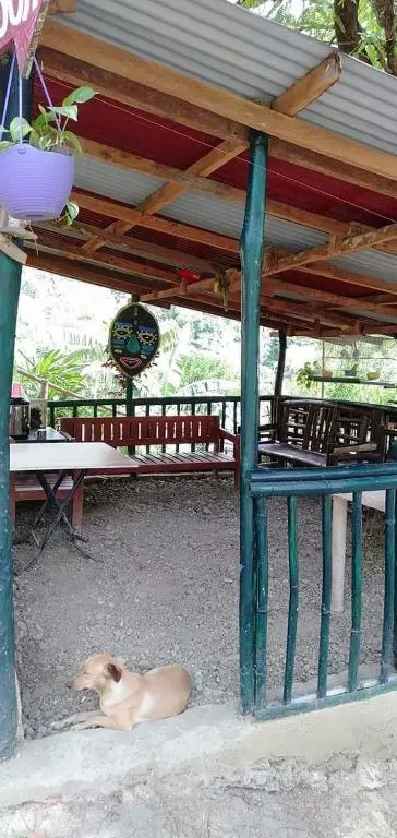 Camping Paradise and Singalong Mountain Garden