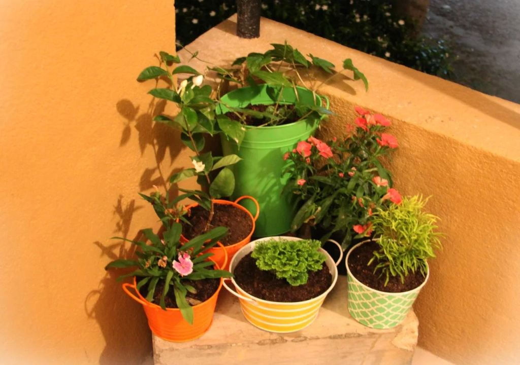Saladura Villa