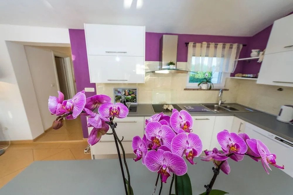Villa Renata ZadarVillas