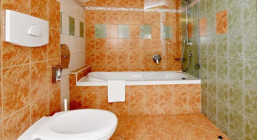 Hotel Břízky
