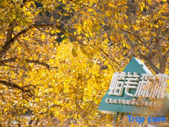 Crayon Forest Homestay, Yinju Township